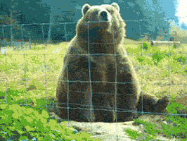 9062468B-3C79-45B2-8313-745447EAF4FE.gif