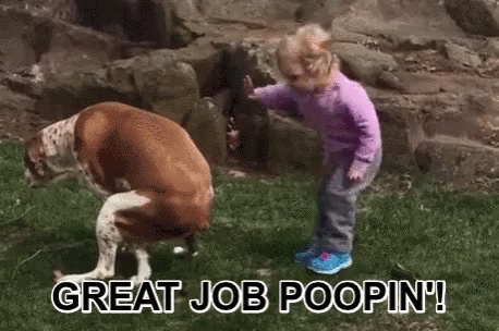 9069B583-2B1C-4E47-87C3-7AE557F3EF1B.gif