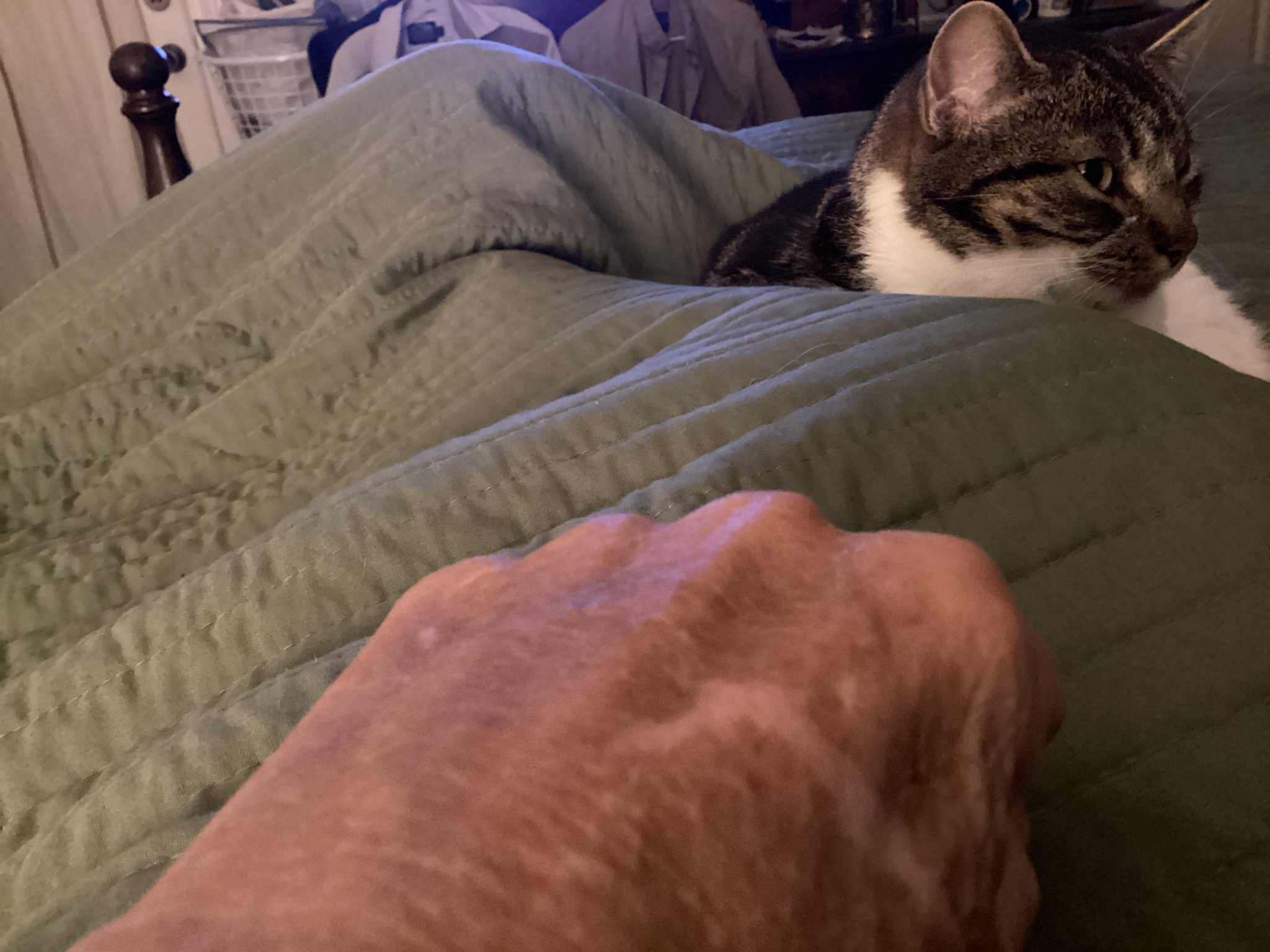 907CB022-72DA-4793-B954-21251C5125B3.jpeg