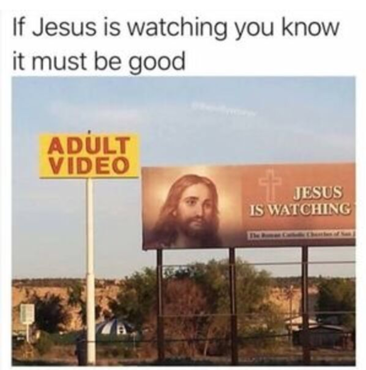 907D0738-C7FE-4EF6-8C7D-2DABA32AFFD2.jpeg