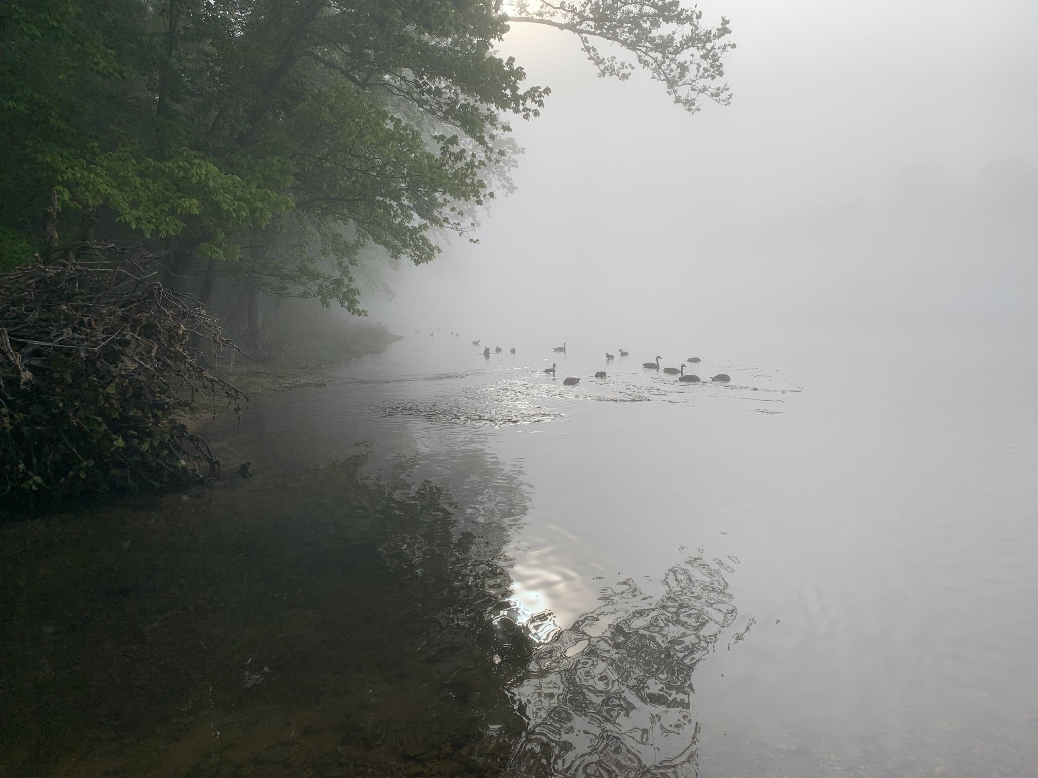 9094C2C8-458D-444C-A789-70301AC2CDE6.jpeg