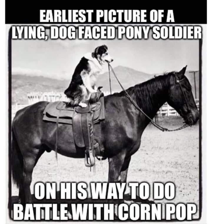 90E29781-3494-48A5-9862-EDC6A0F61670.jpeg