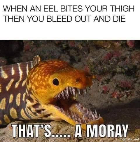 90mimb_phxxvkKU0a1vgvqv9o1_500.jpg