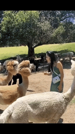 91E9A844-61C6-4680-9F62-580716E70DA6.gif