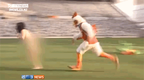 92B07CB0-E59D-4C19-B900-AC0DC3B06E9C.gif