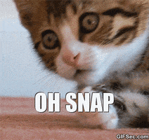 92EEB6F1-3E92-4673-B791-C1B471017709.gif