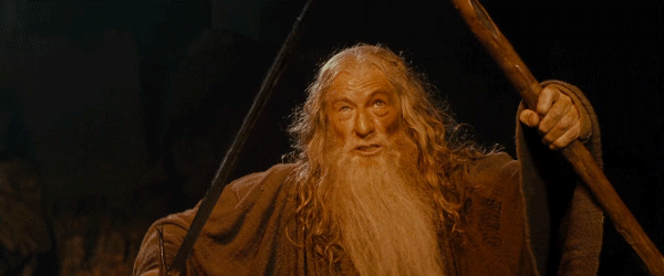 9319FD68-3295-48BB-8B3D-CF16D9AA675A.gif