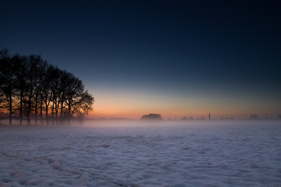 9335-winter-landscape-with-trees-pv.jpg