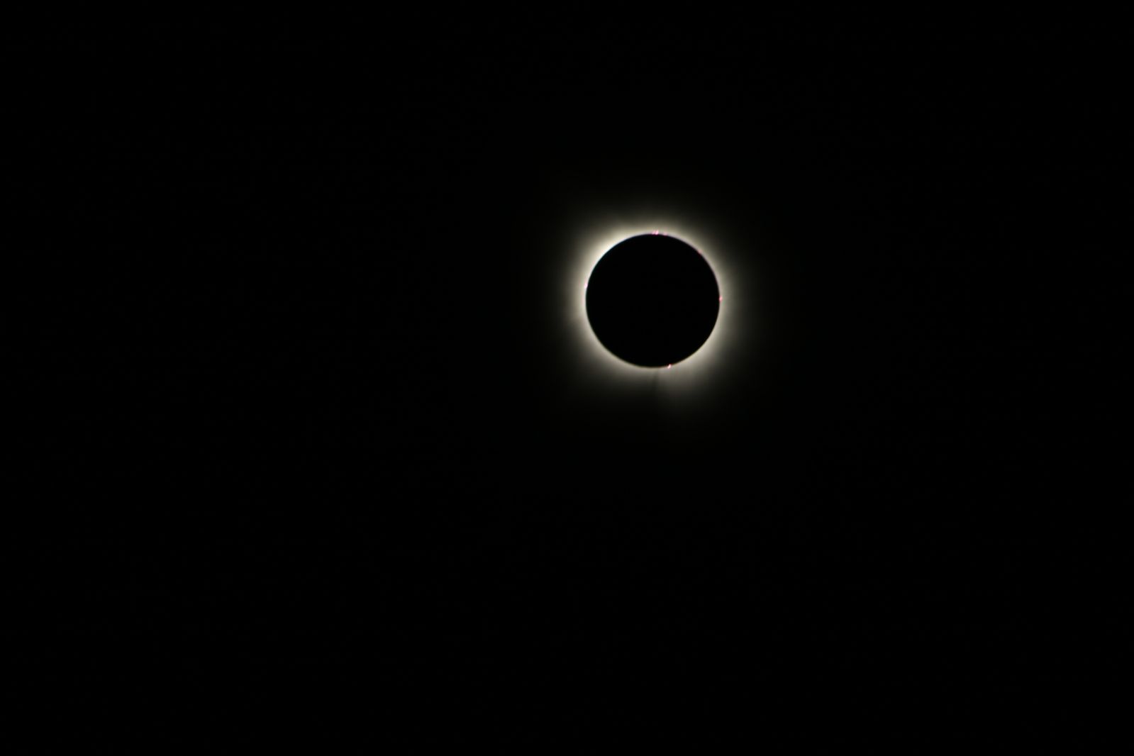 941D5E7C-9DE5-44C5-B0EB-1F60D44C3573.jpeg