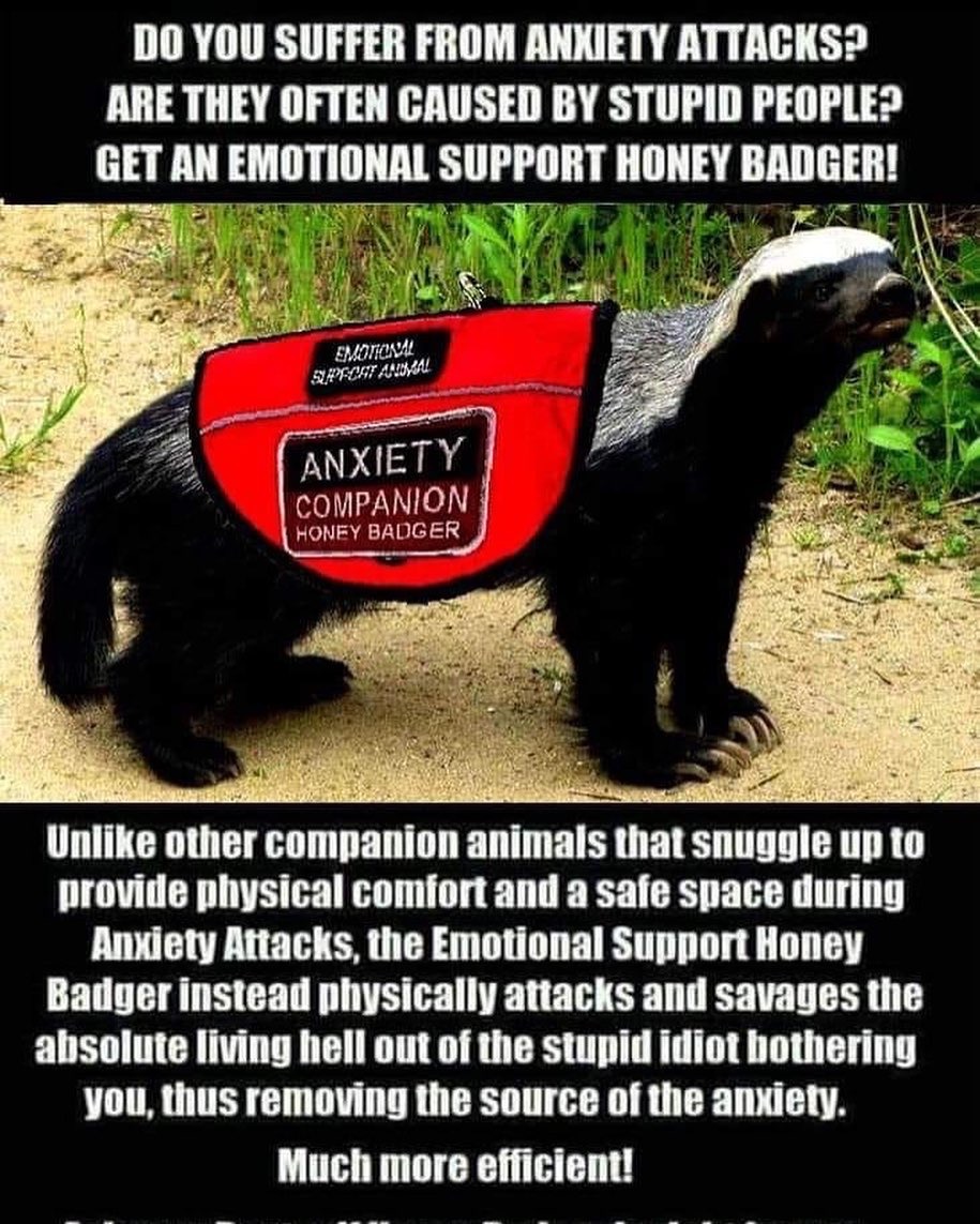 94C88CB7-5187-4C04-88F0-5F0A840EC201.jpeg