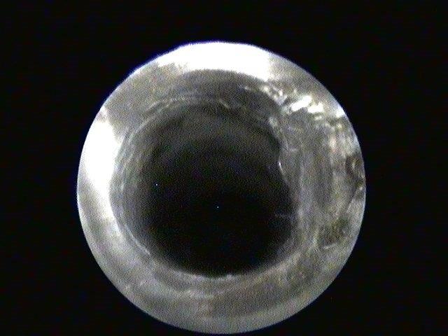 94DEABBF-B068-4735-BE36-6047F8C2091F.jpeg