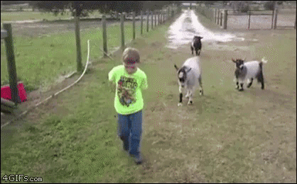958A5060-A1C4-45A1-A5B0-36473B0A7379.gif