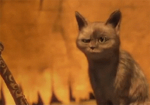 95A31642-83BF-4F5B-B6DB-4535ED660ADB.gif