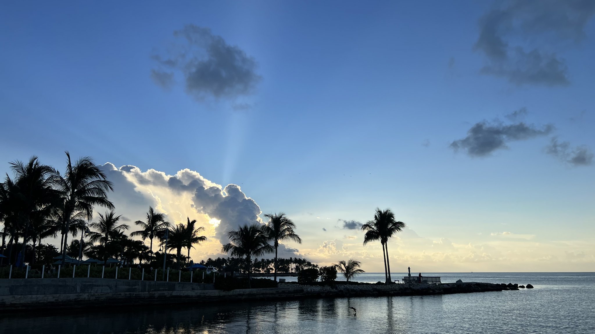 95EB80C2-FA74-4787-B245-B3802E041F90.jpeg