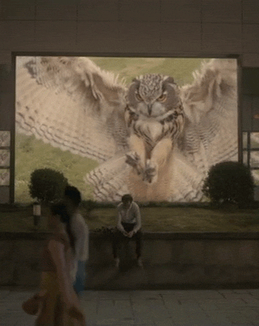 962CE154-87DC-464E-BCE9-91576E2C7424.gif