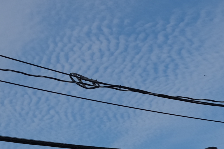 96A545DE-A43F-4437-9237-22FAA9C61578.jpeg