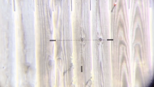 98bf79b3885b4fe6a91985d06dbede9e.gif