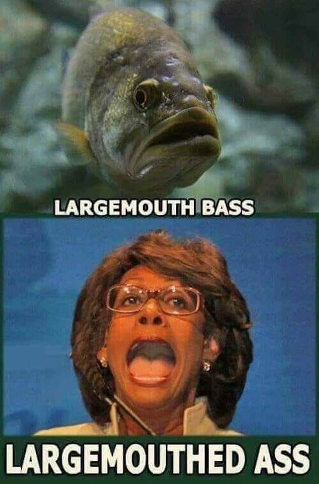 990AF091-1A40-477E-9C76-DEB0CC09120B.jpeg
