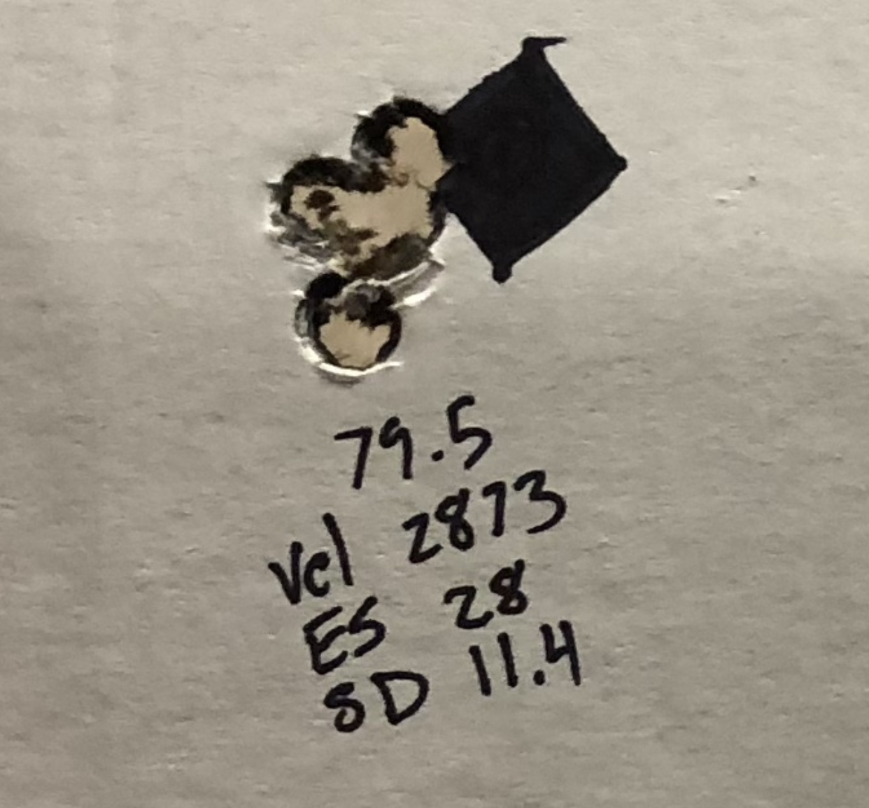 99174A14-A1A4-4014-88BC-E04389136568.jpeg