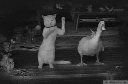 99958663-70B4-4B9D-B9AA-0B362509BFF7.gif