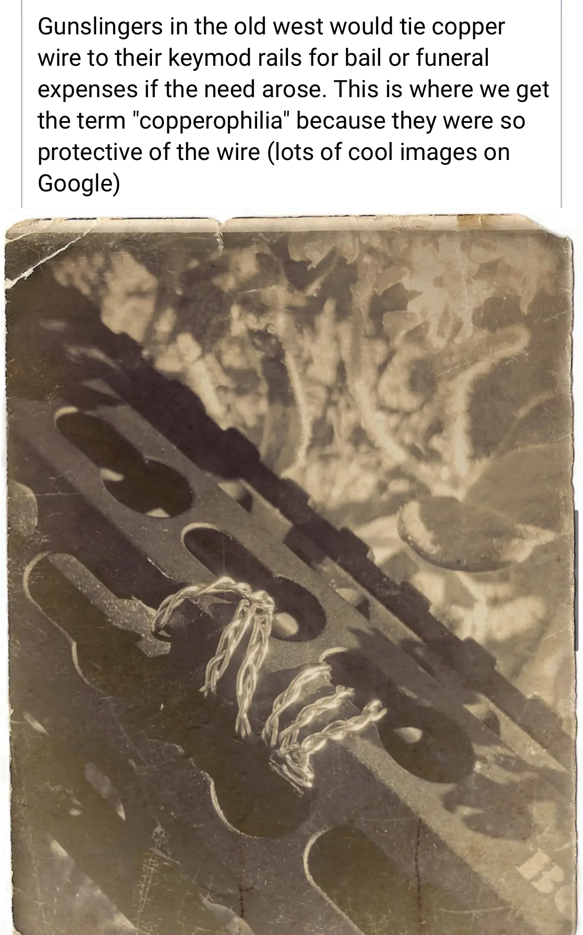 9A4A1967-A11D-421E-B2C5-E6C58C4C14D7.jpeg
