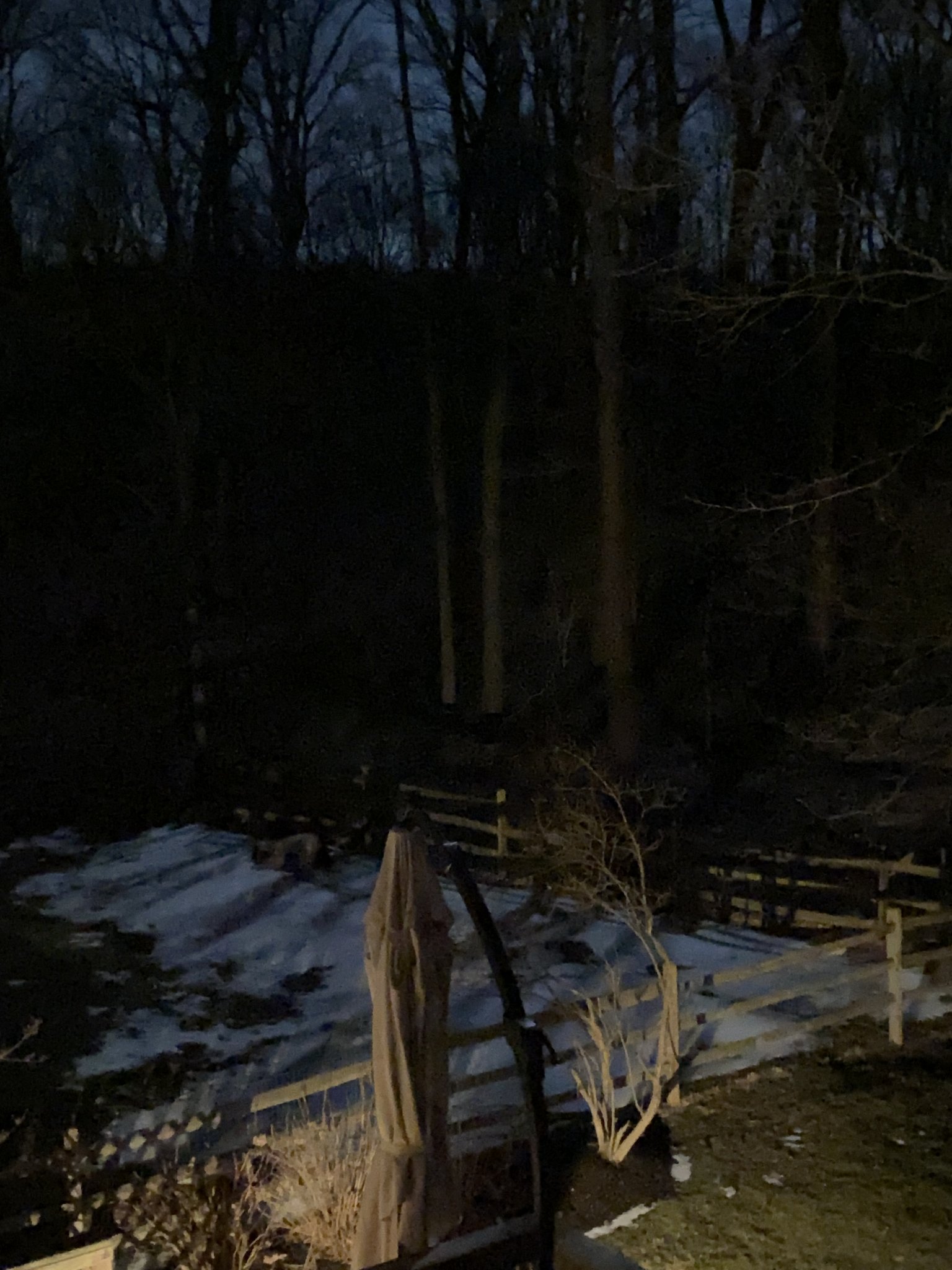 9A65EFB4-5897-4C10-BCCE-19E7AF12B172.jpeg