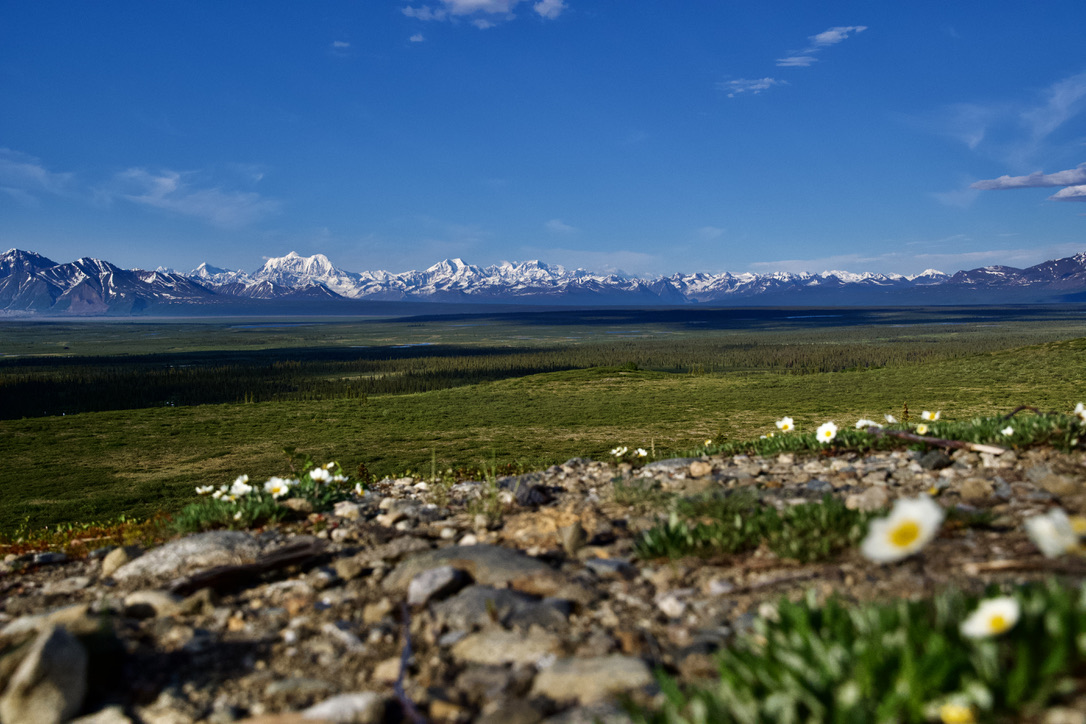 9B30077B-AA79-4812-864B-342B151F8EB6_1_105_c.jpeg