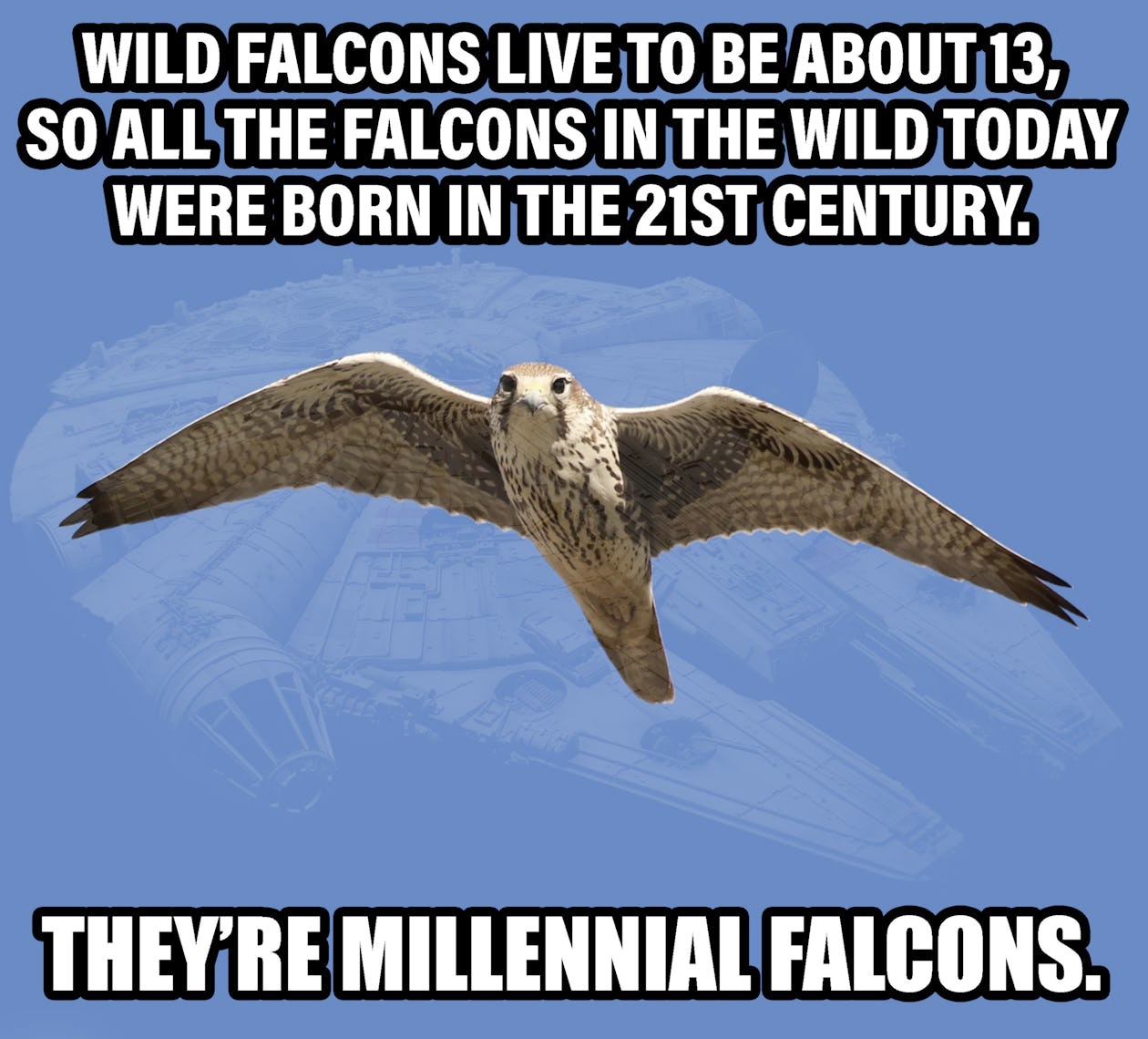 9B82A05F-8E13-48CE-B91D-6D4A1E2A93AA.jpeg