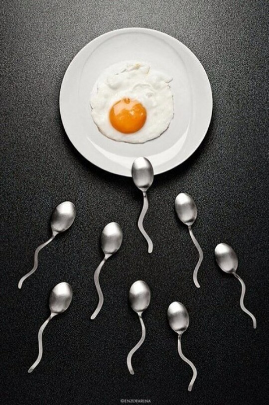 9B99AC46-B3A9-4E41-925B-1D672EE4B23B.jpeg