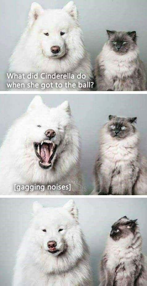 9C0EE618-222F-4116-904F-AB93C1ADDF9E.jpeg