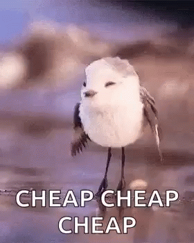 9C72D779-75D0-4DAE-9295-4928E2B1D1E1.gif