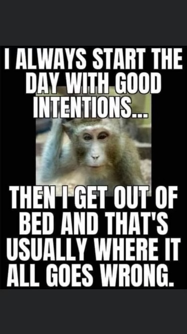 9D2F29AE-4E33-4176-AA2D-02EDEBD432CB.jpeg