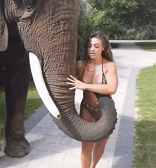 9d5439db2acee6e144e07b692c563d4c.gif