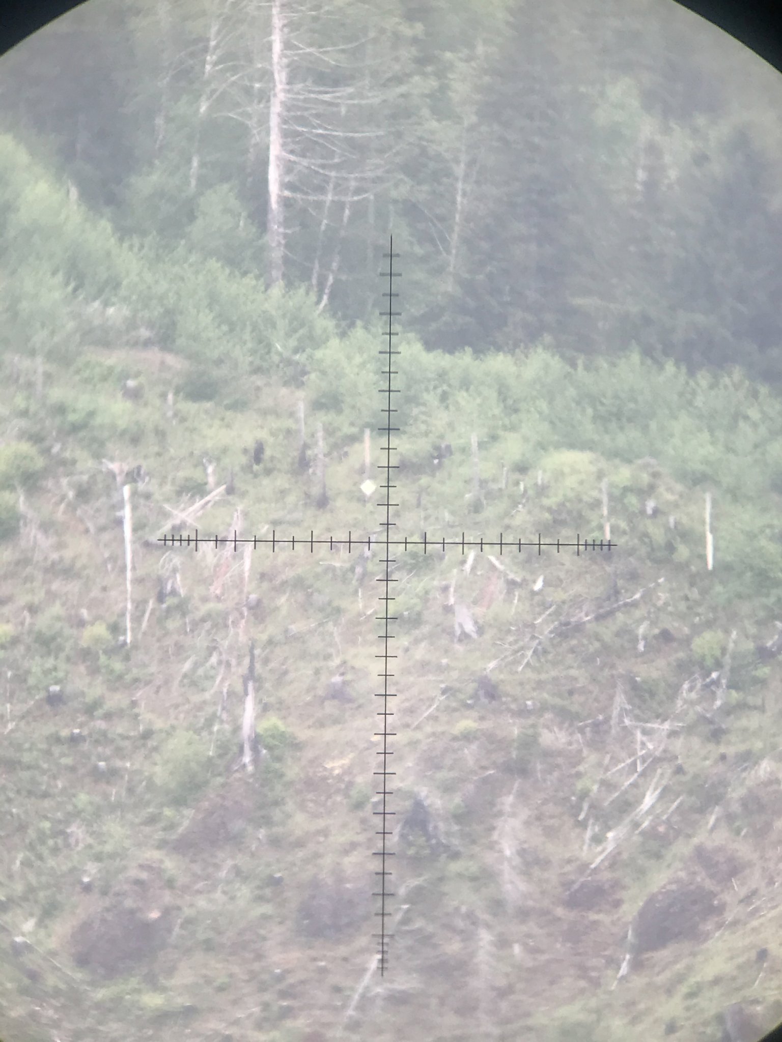 9D61BA64-888C-4F49-8EAA-E23EBC6EB9F3.jpeg