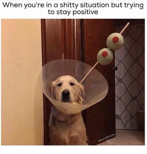 7043783