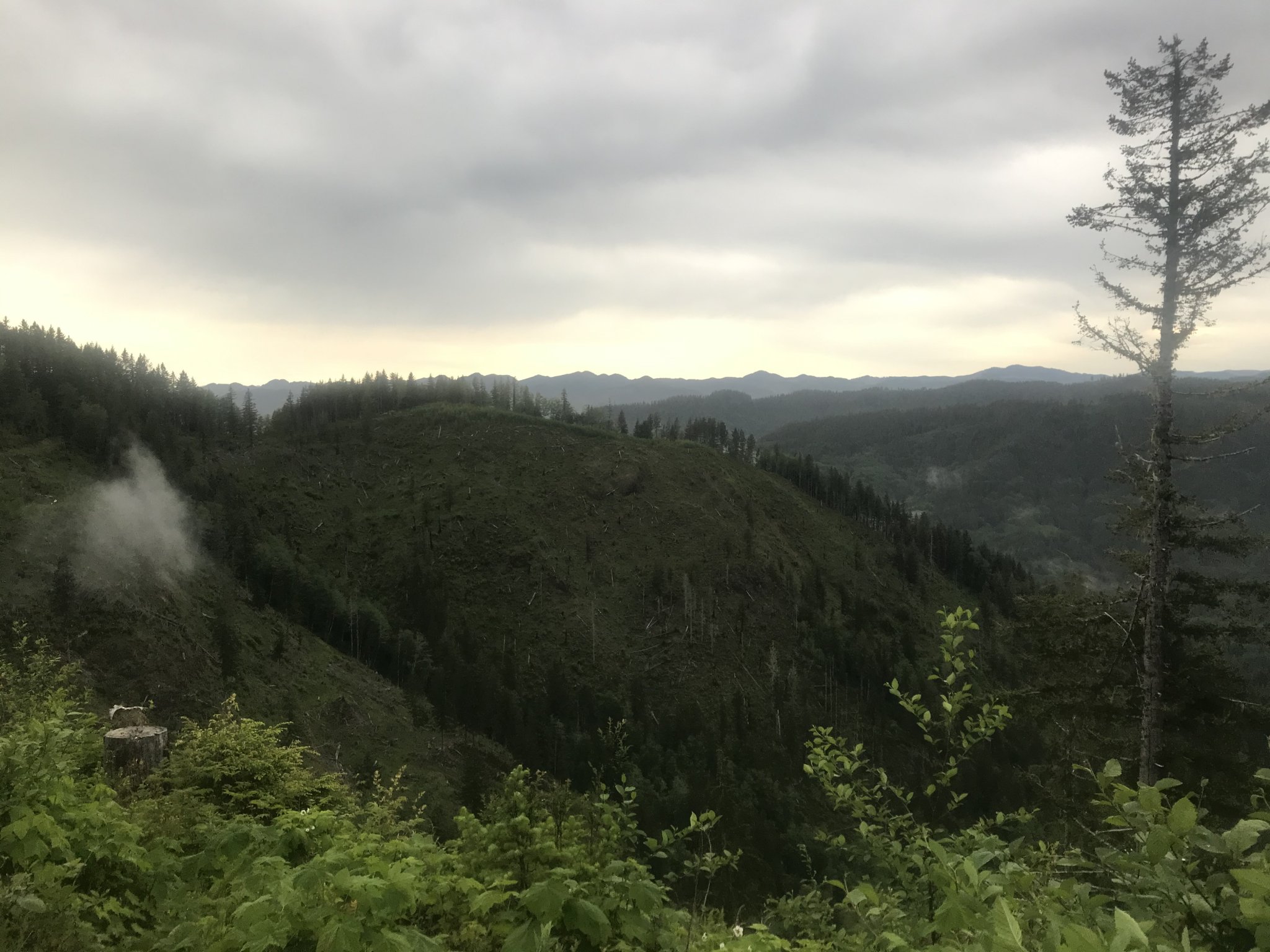 9F94FD50-0515-46CA-B155-6CCFE03666EB.jpeg