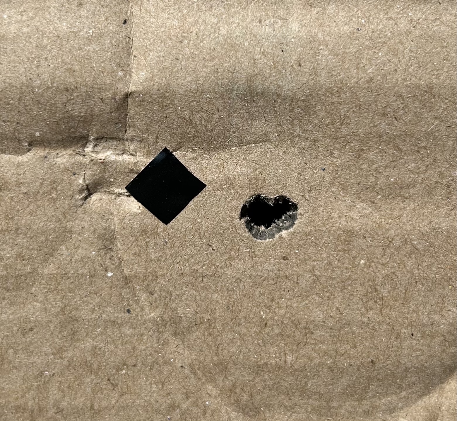 9FD46251-2272-4773-BC60-4C4D10F4F136.jpeg