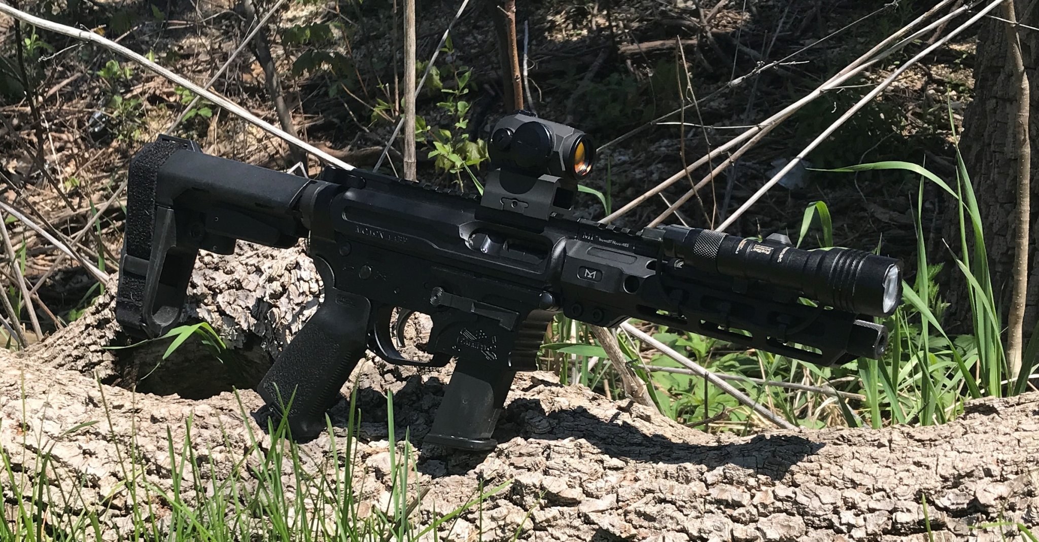 9mm AR pistol on log.JPG