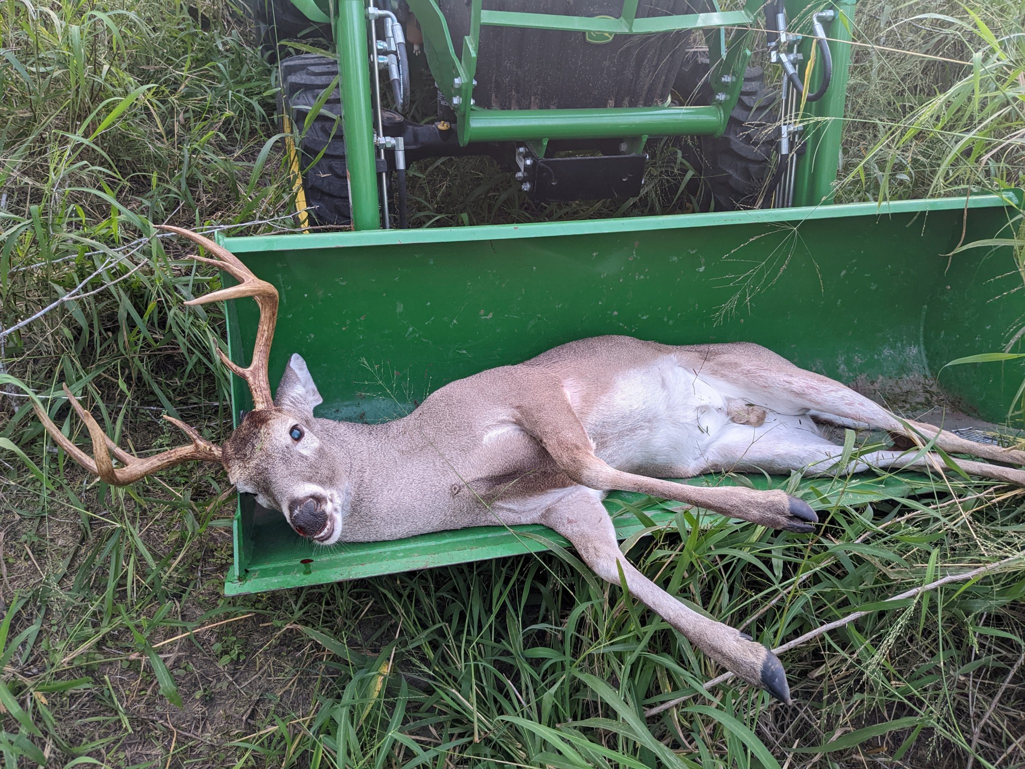 9pt 2.jpg