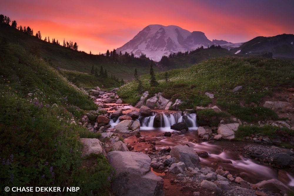 _WinnerLandscapes_ChaseDekker_MountRainierSunset.jpg
