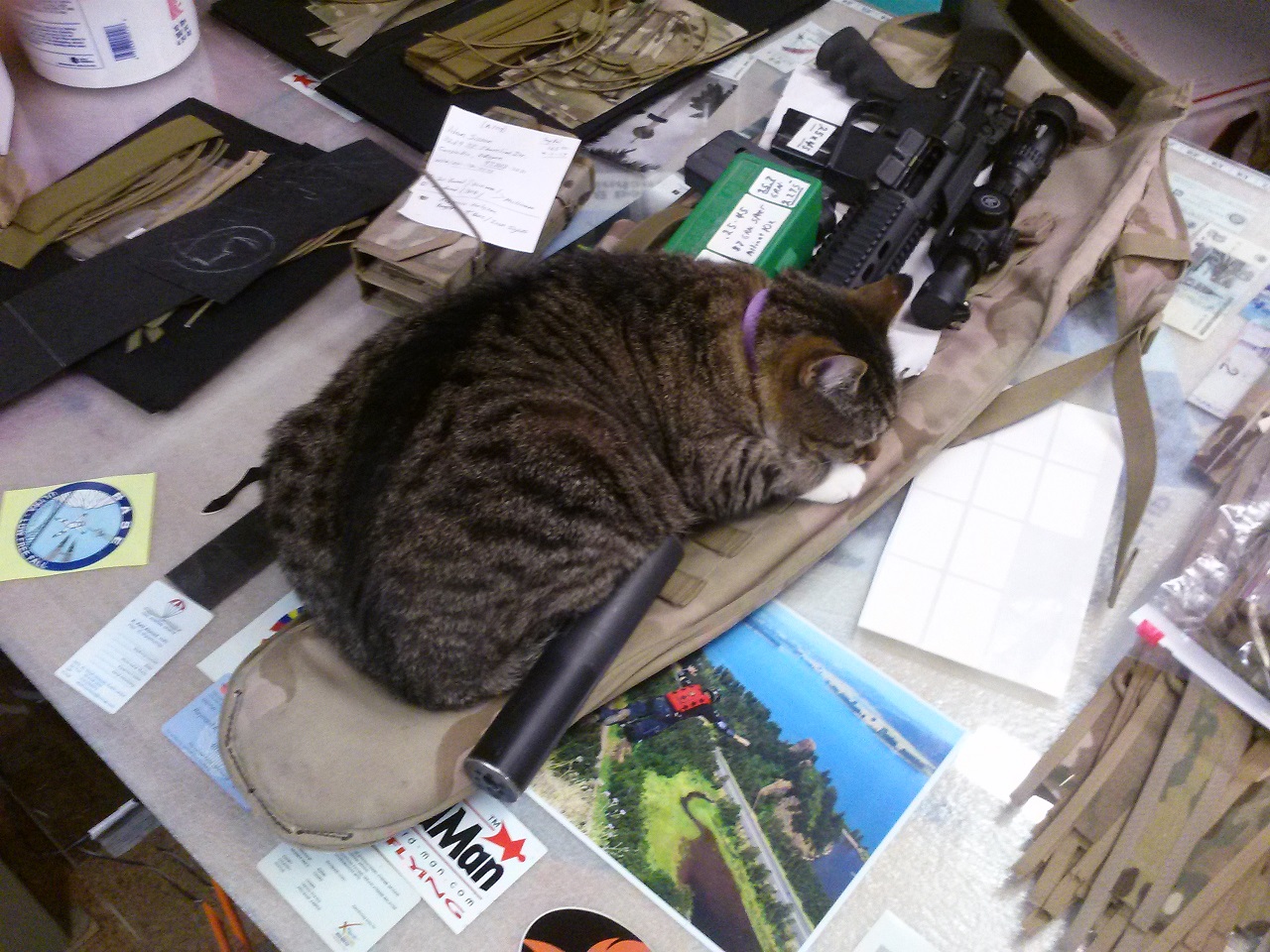 A Cat Barrel Warmer.jpg