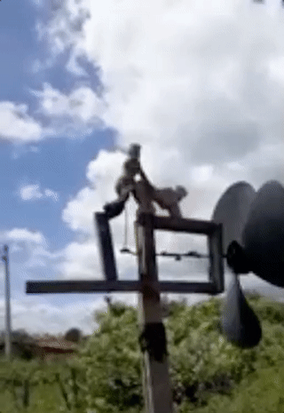 a-dirty-dump-is-just-what-every-evening-needs-37-photos-3.gif
