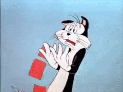 A0D602FC-2780-4664-8D62-83C23D70DEFA.gif