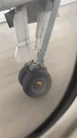 a1.gif