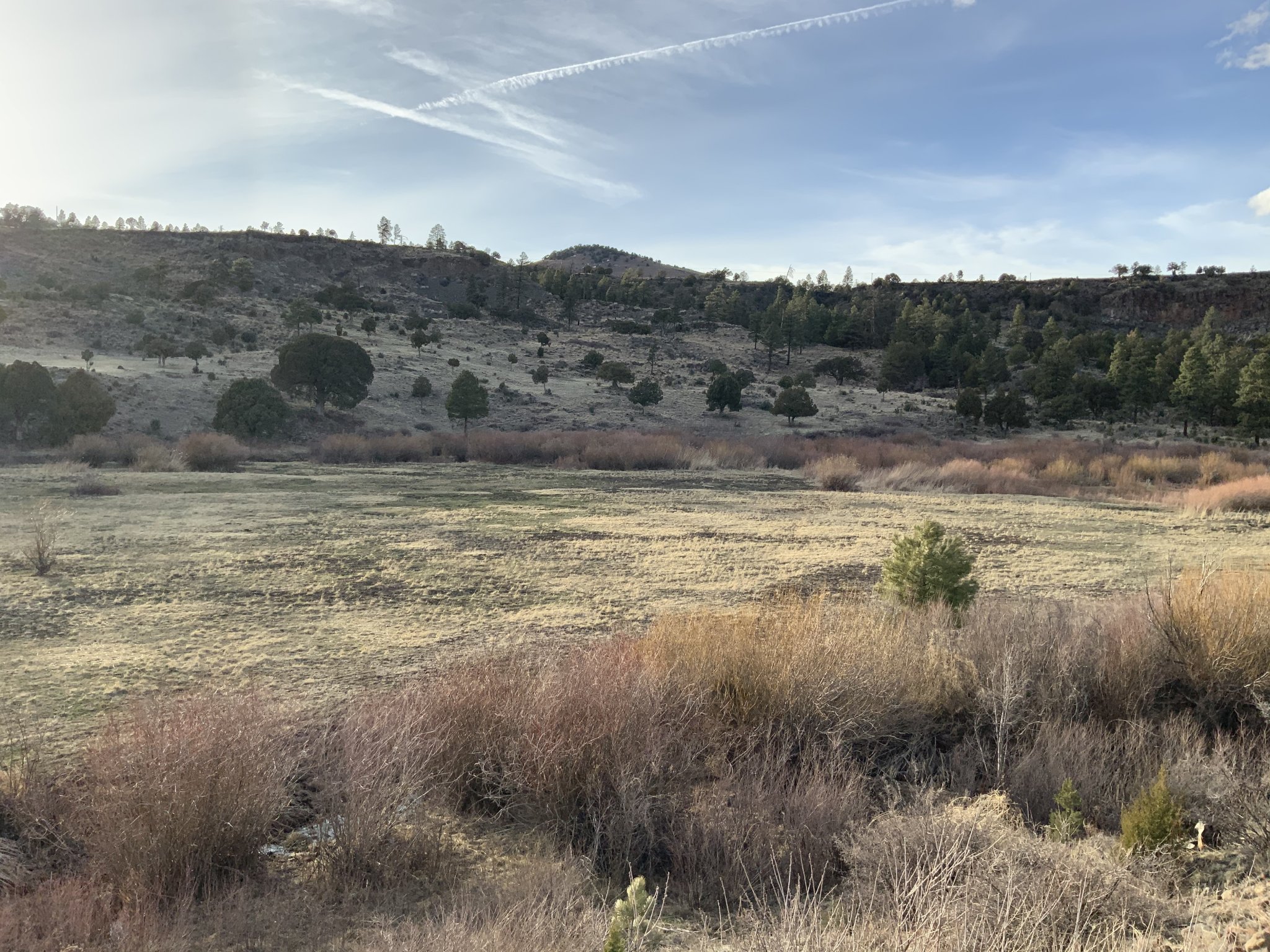 A1918293-7F40-4AD1-9D6B-13DE4A509193.jpeg