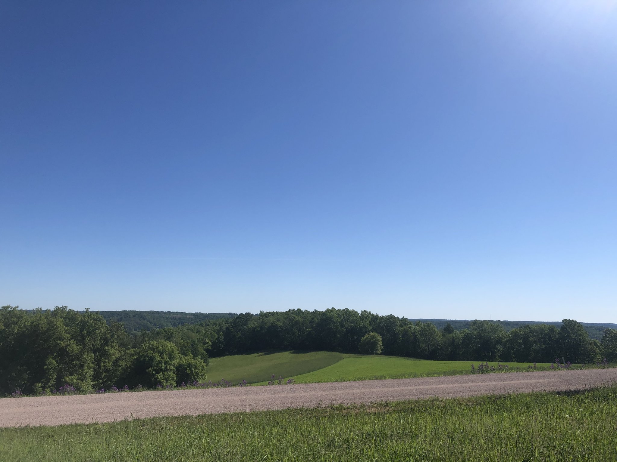 A1FDF6A9-9326-450B-8ECA-25DCFB476E2F.jpeg