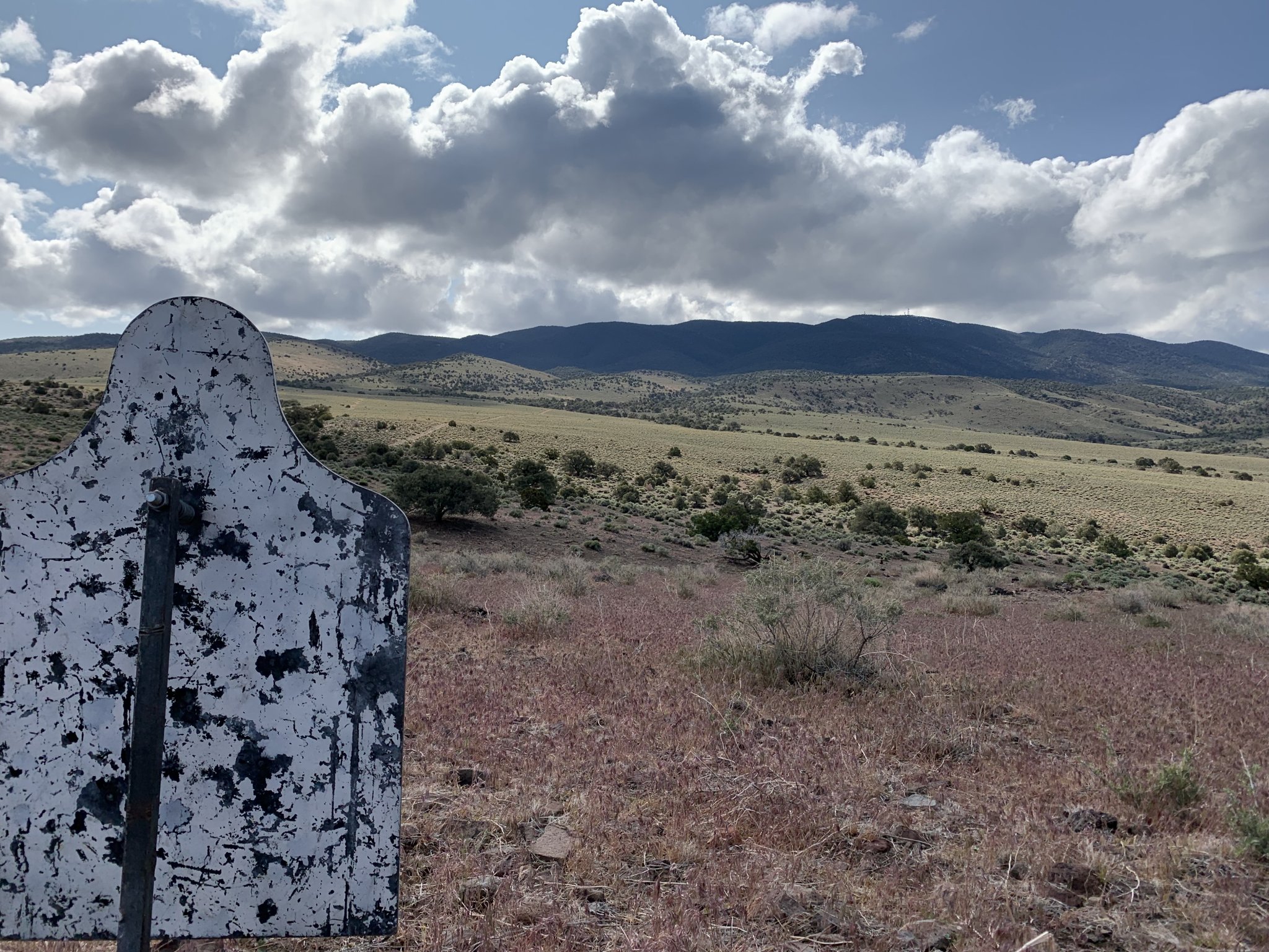 A2016A67-4FE5-4617-8126-CCF0F273F6A1.jpeg