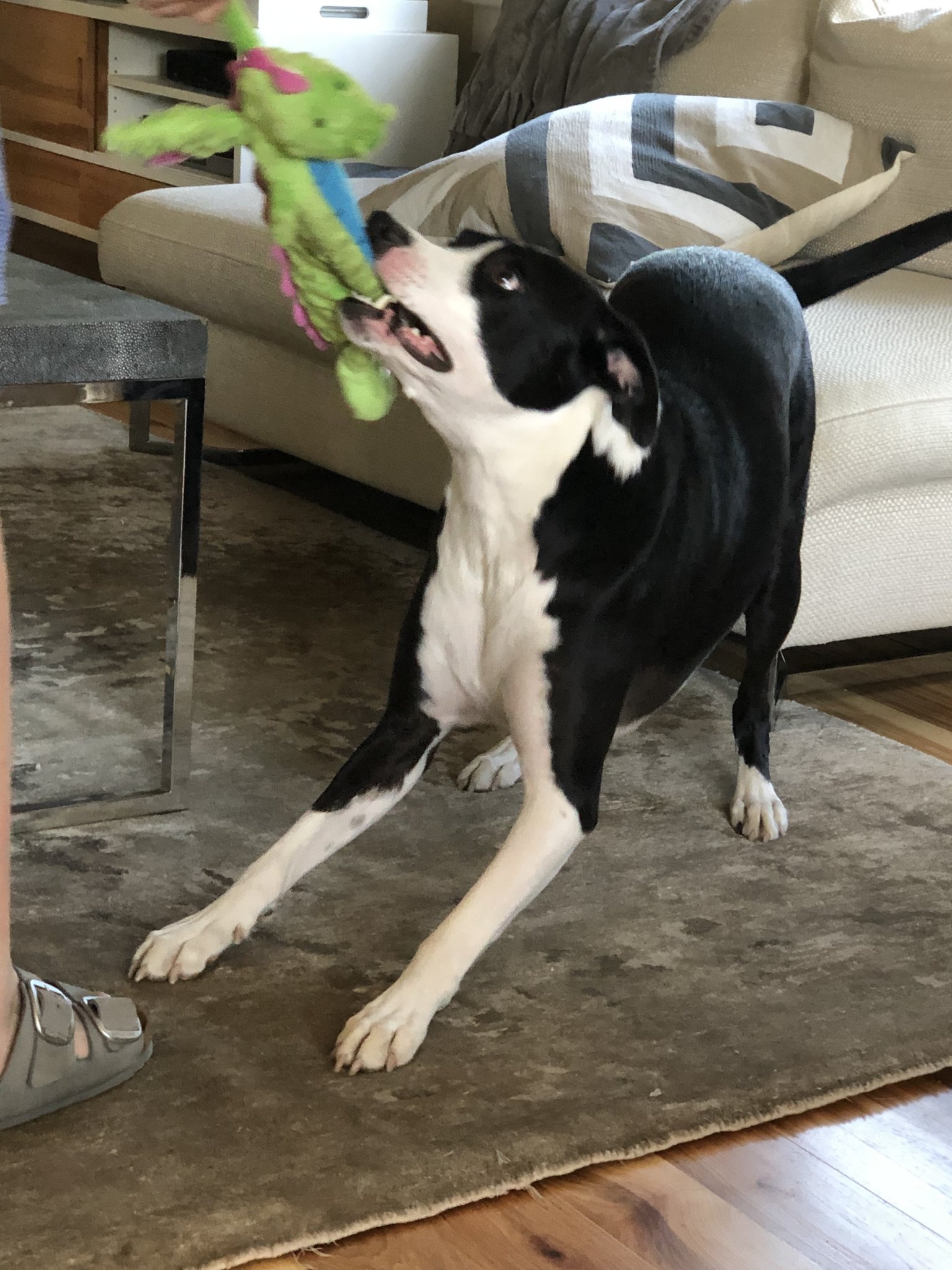 A2880123-073F-4649-BFEC-71835F29DF64.jpeg