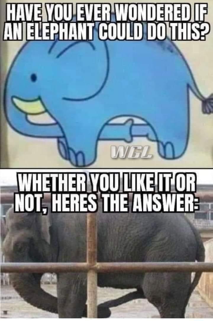 A37D789F-02F4-4A87-BD6E-8418B9DBF82A.jpeg