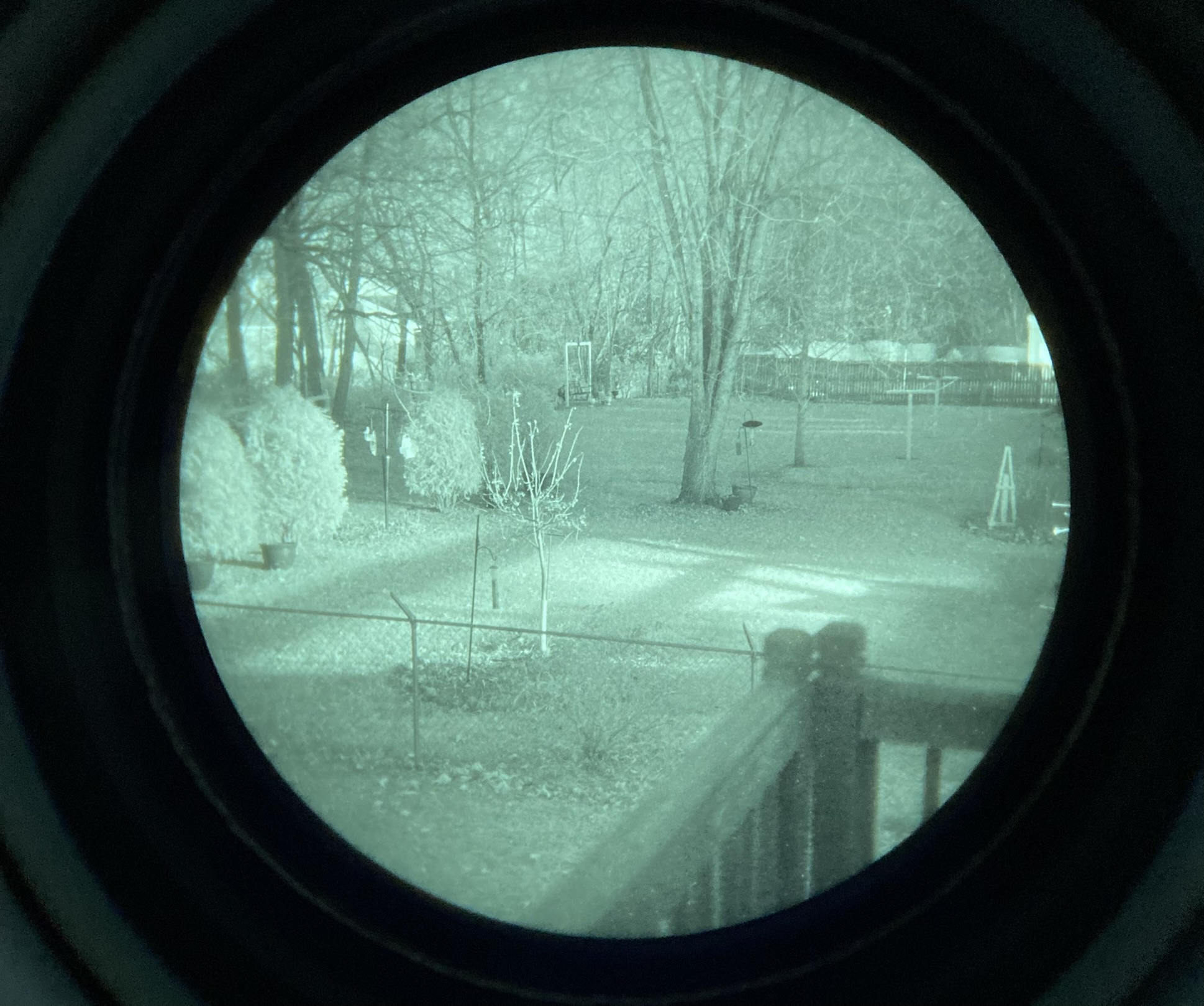 A4E19A2A-8BF3-4215-B8F8-D6EF590E8354.jpeg
